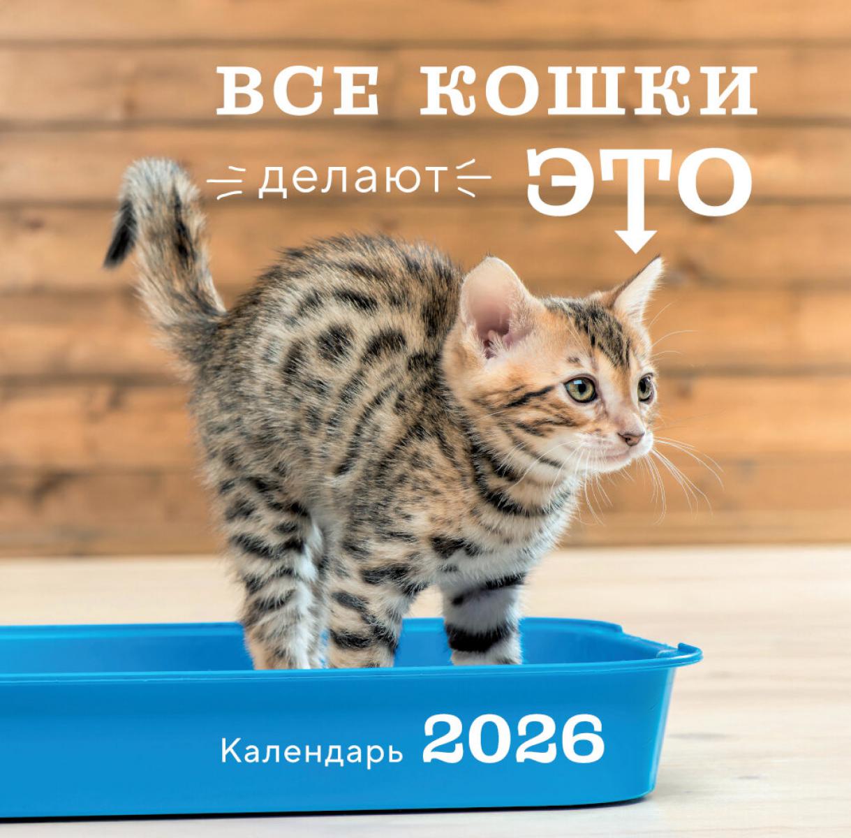 Все кошки делают это. Календарь настенный на 2026 год