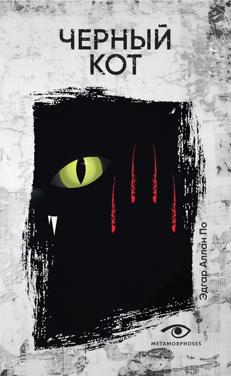 Черный кот