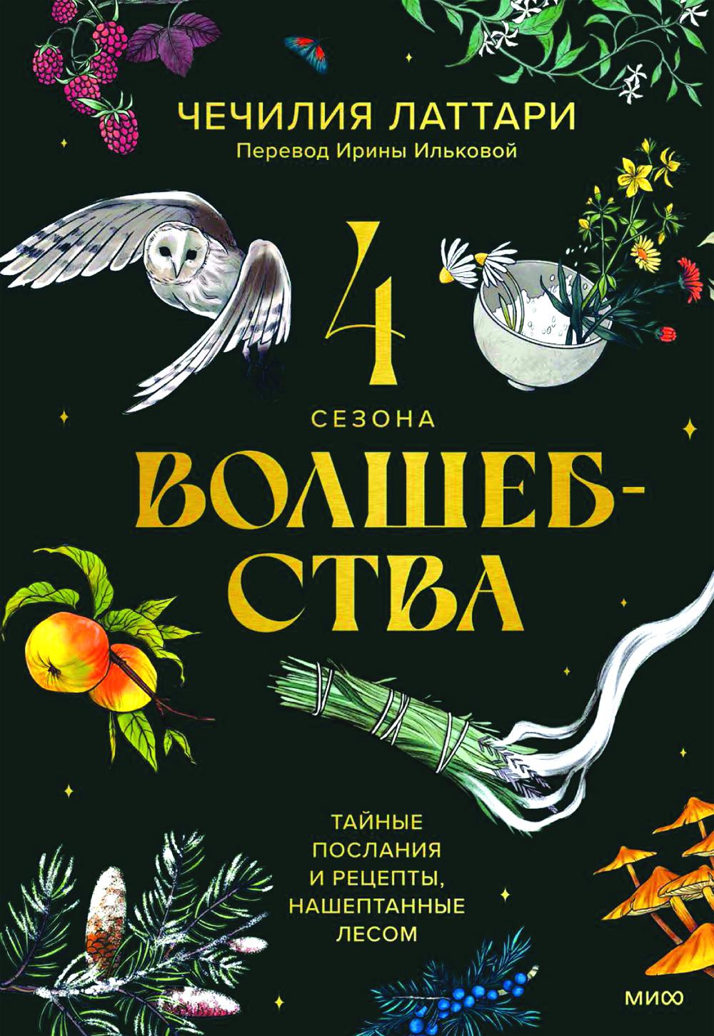4 сезона волшебства. Тайные послания и рецепты, нашептанные лесом