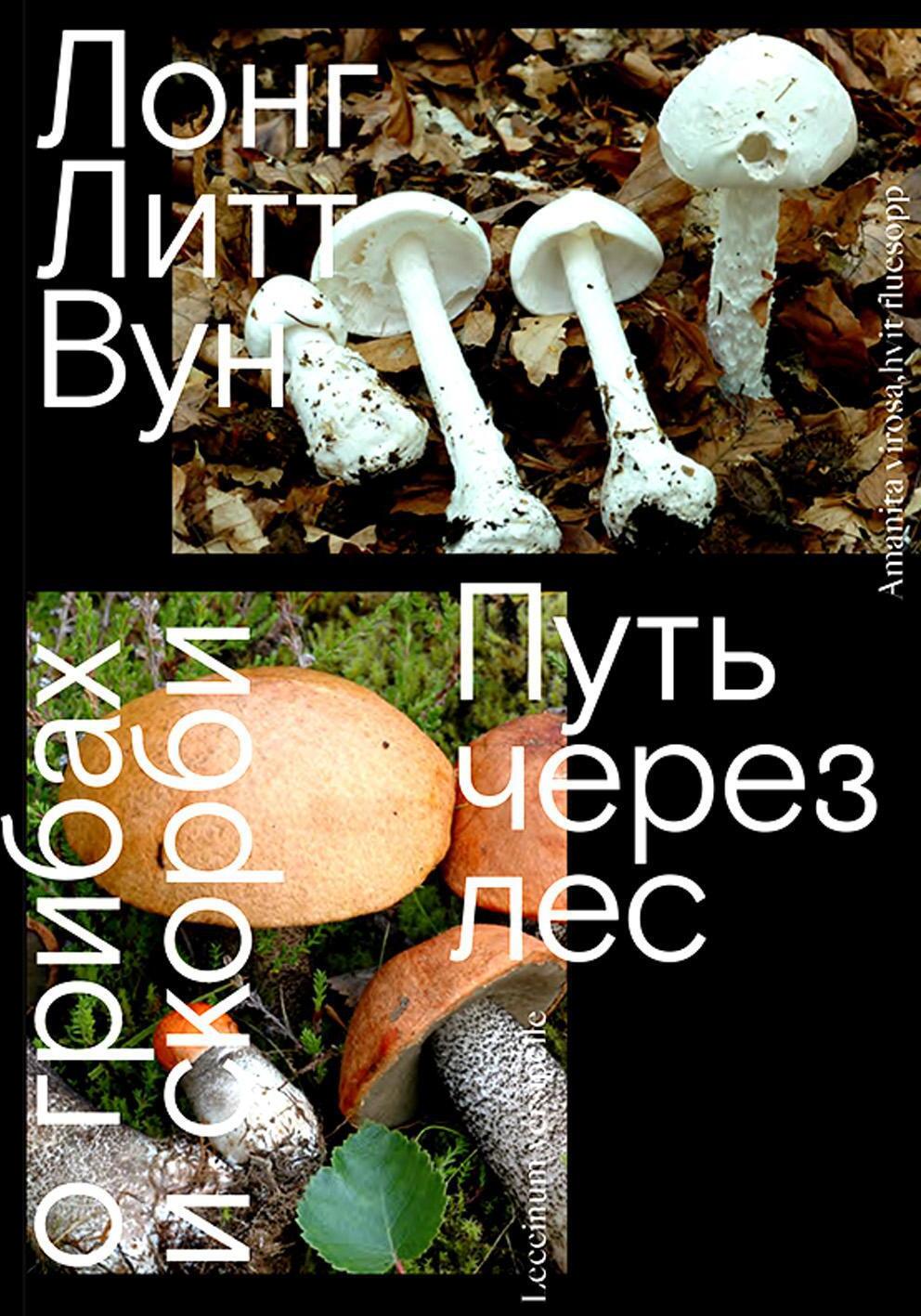 Путь через лес. О грибах и скорби