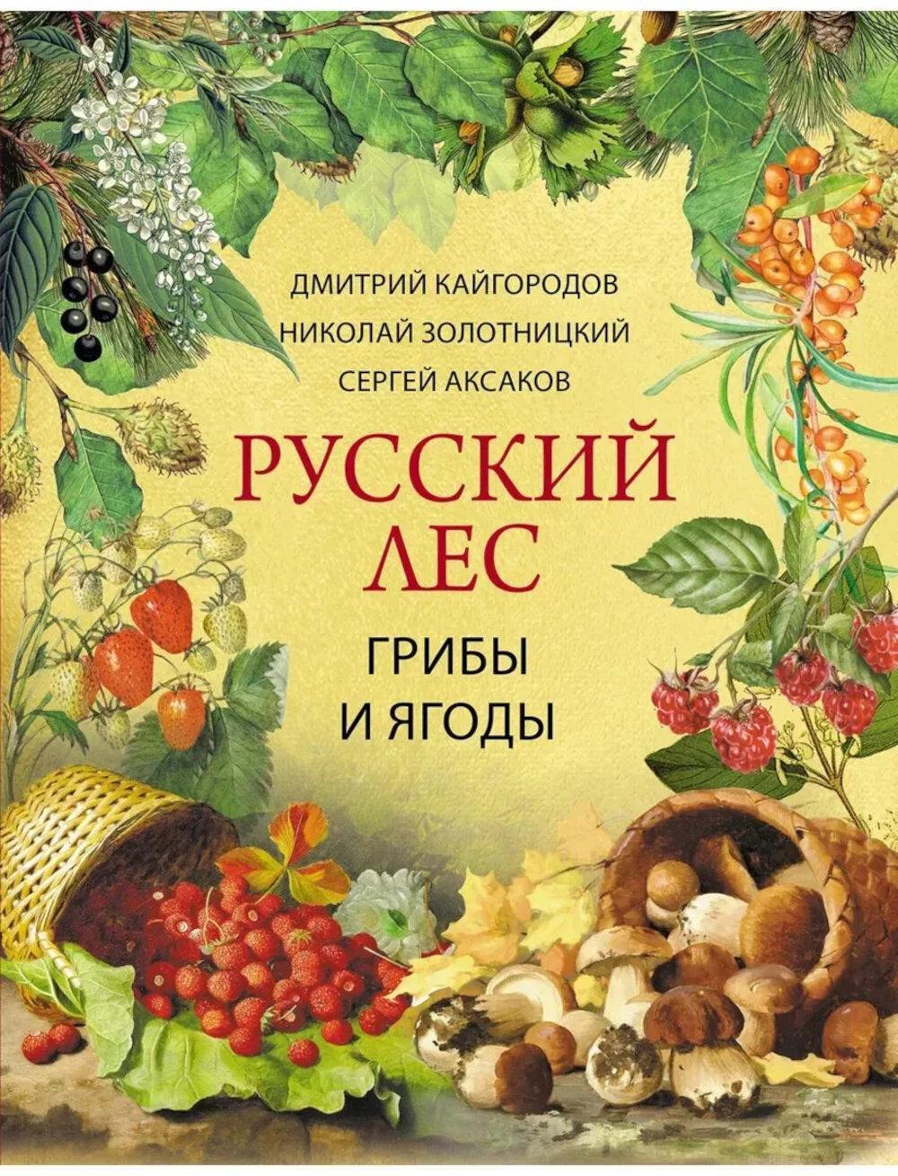Русский лес. Грибы и ягоды