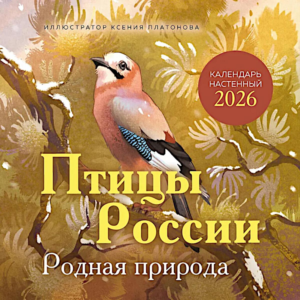 Птицы России. Родная природа. Календарь настенный на 2026 год
