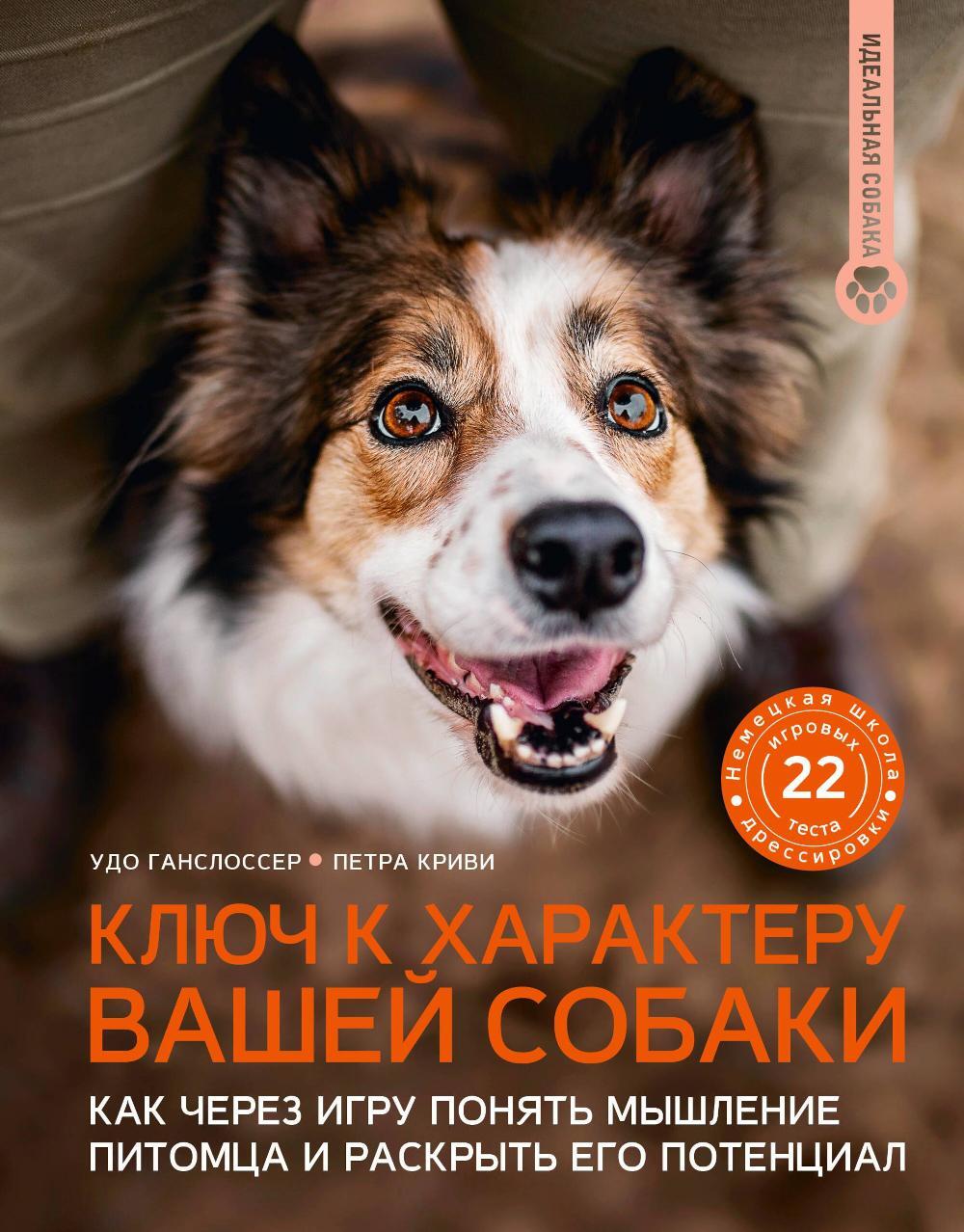 Ключ к характеру вашей собаки: как через игру понять мышление питомца и раскрыть его потенциал