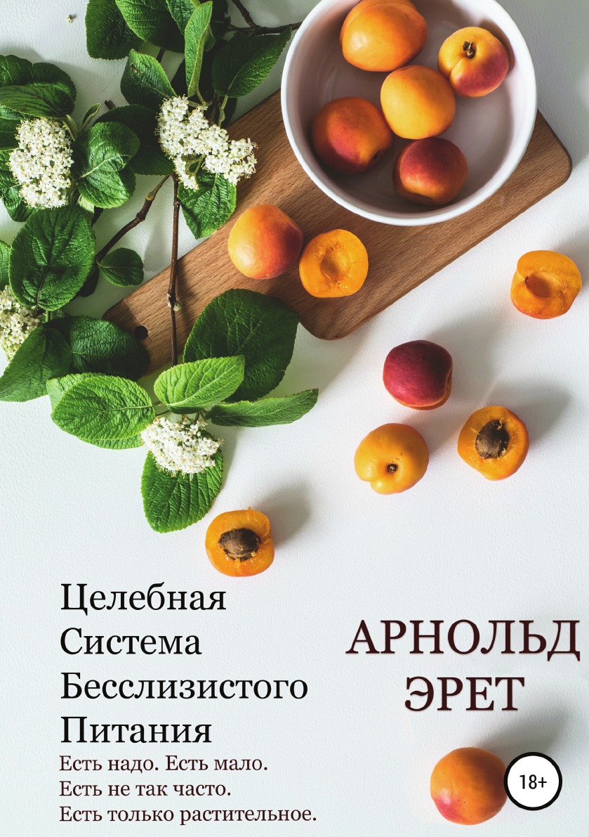Целебная Система Бесслизистого Питания