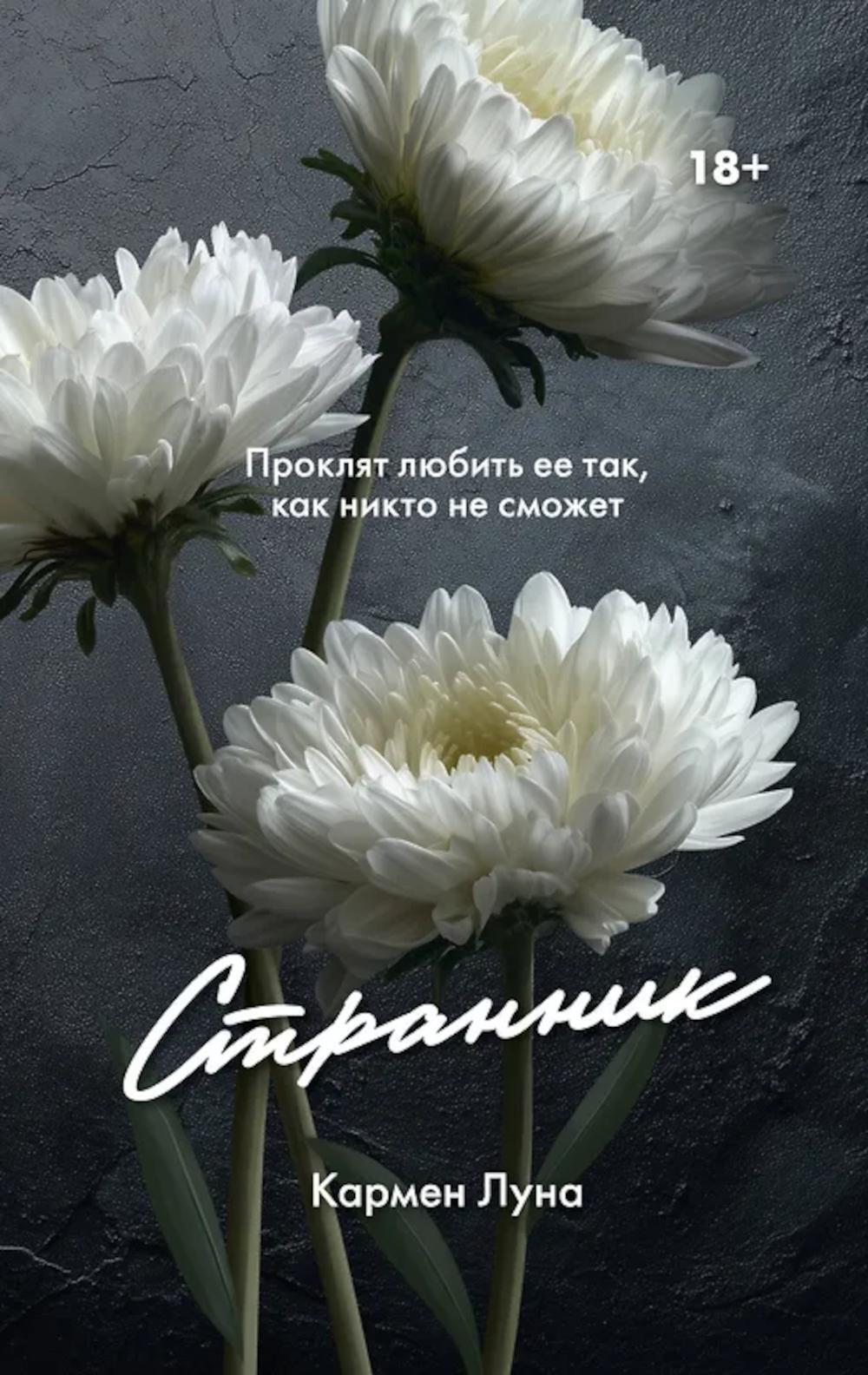 Странник: роман
