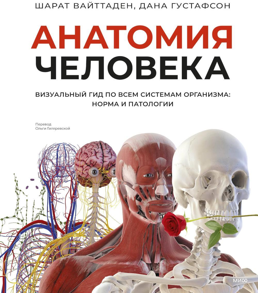 Анатомия человека. Визуальный гид по всем системам организма: норма и патологии