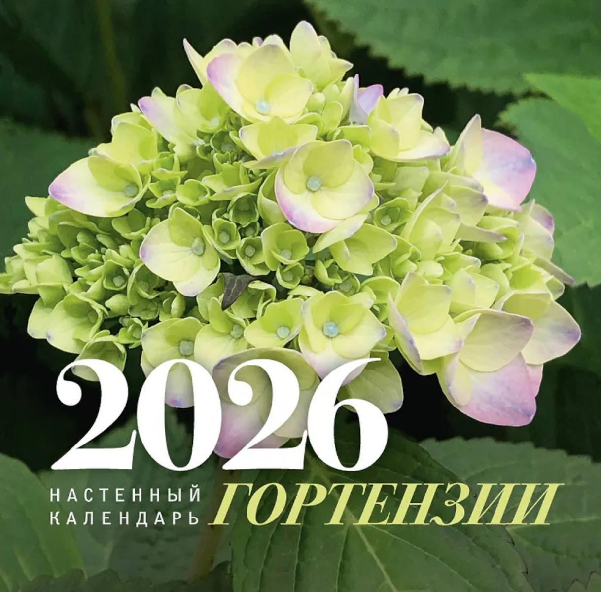 Гортензии. Настенный календарь на 2026 год