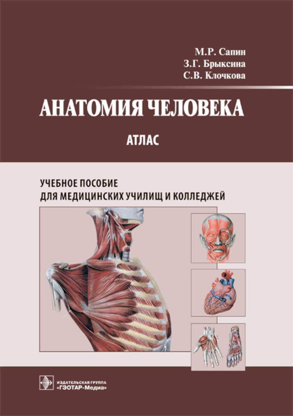 Анатомия человека. Атлас: Учебное пособие для медицинских училищ и колледжей