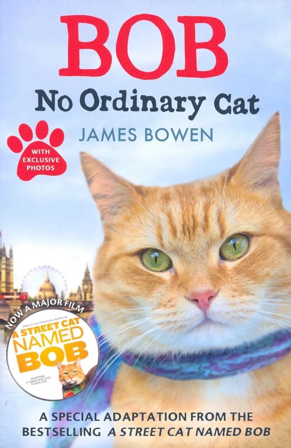 Bob. No Ordinary Cat