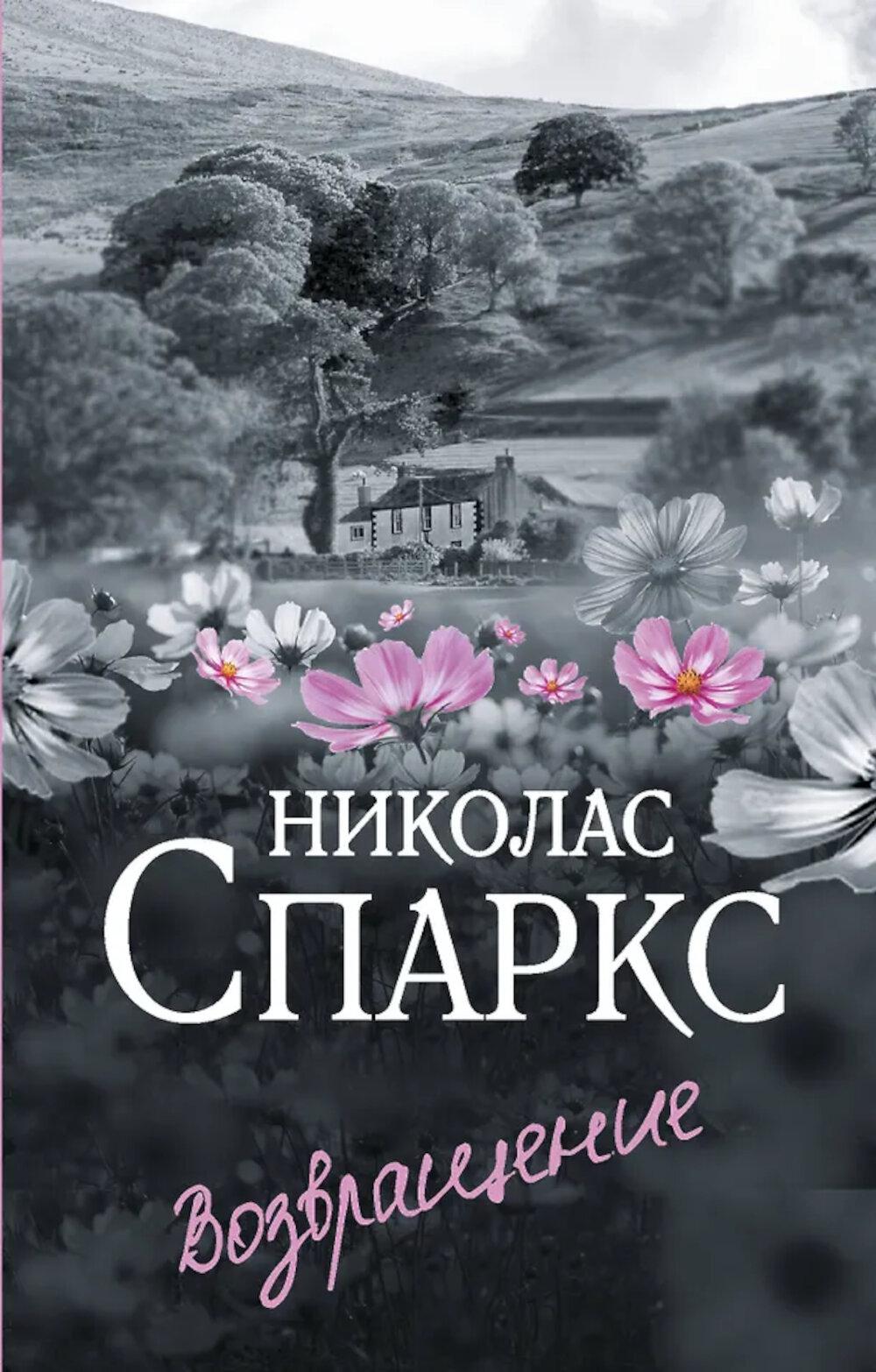 Возвращение: роман