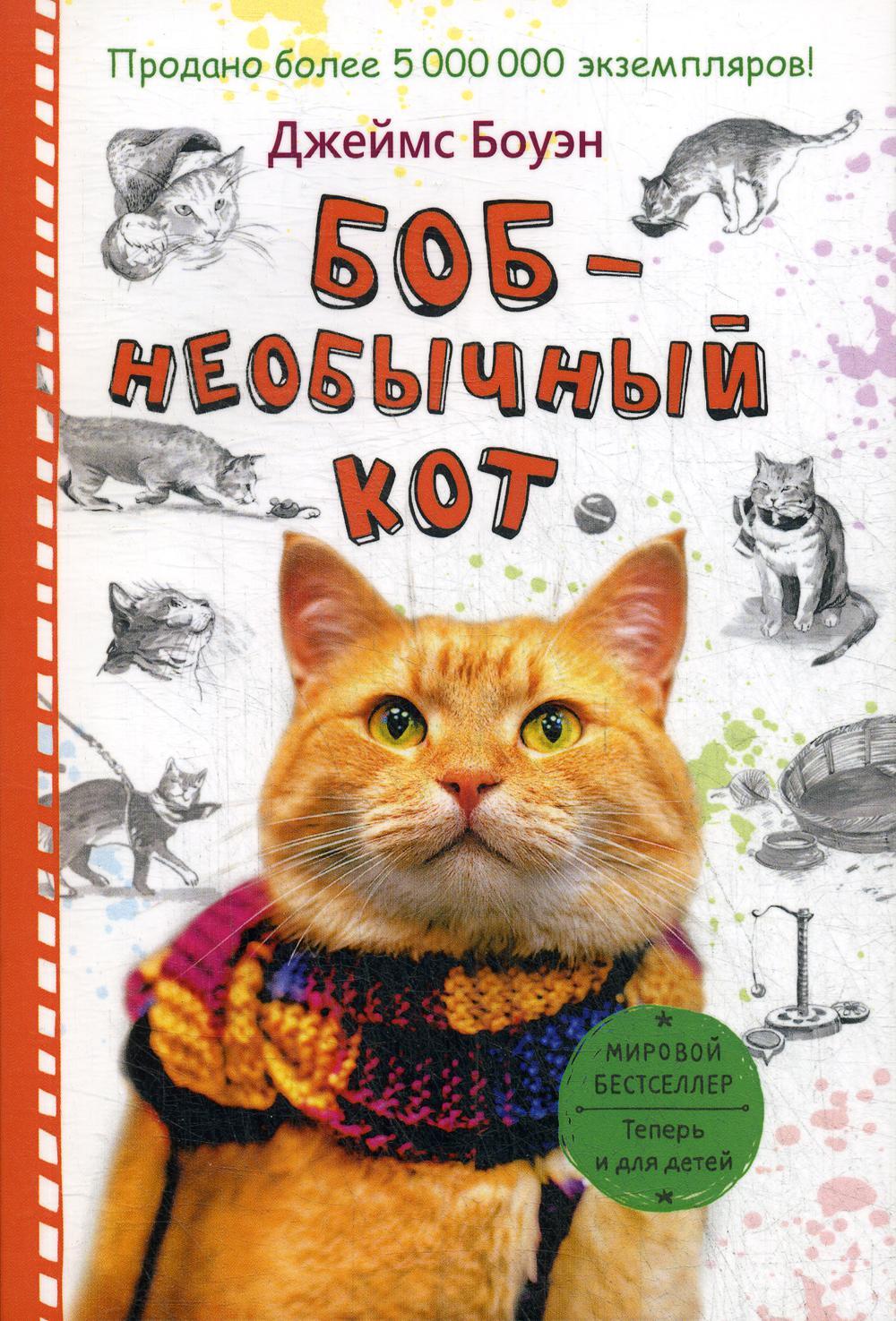 Боб - необычный кот