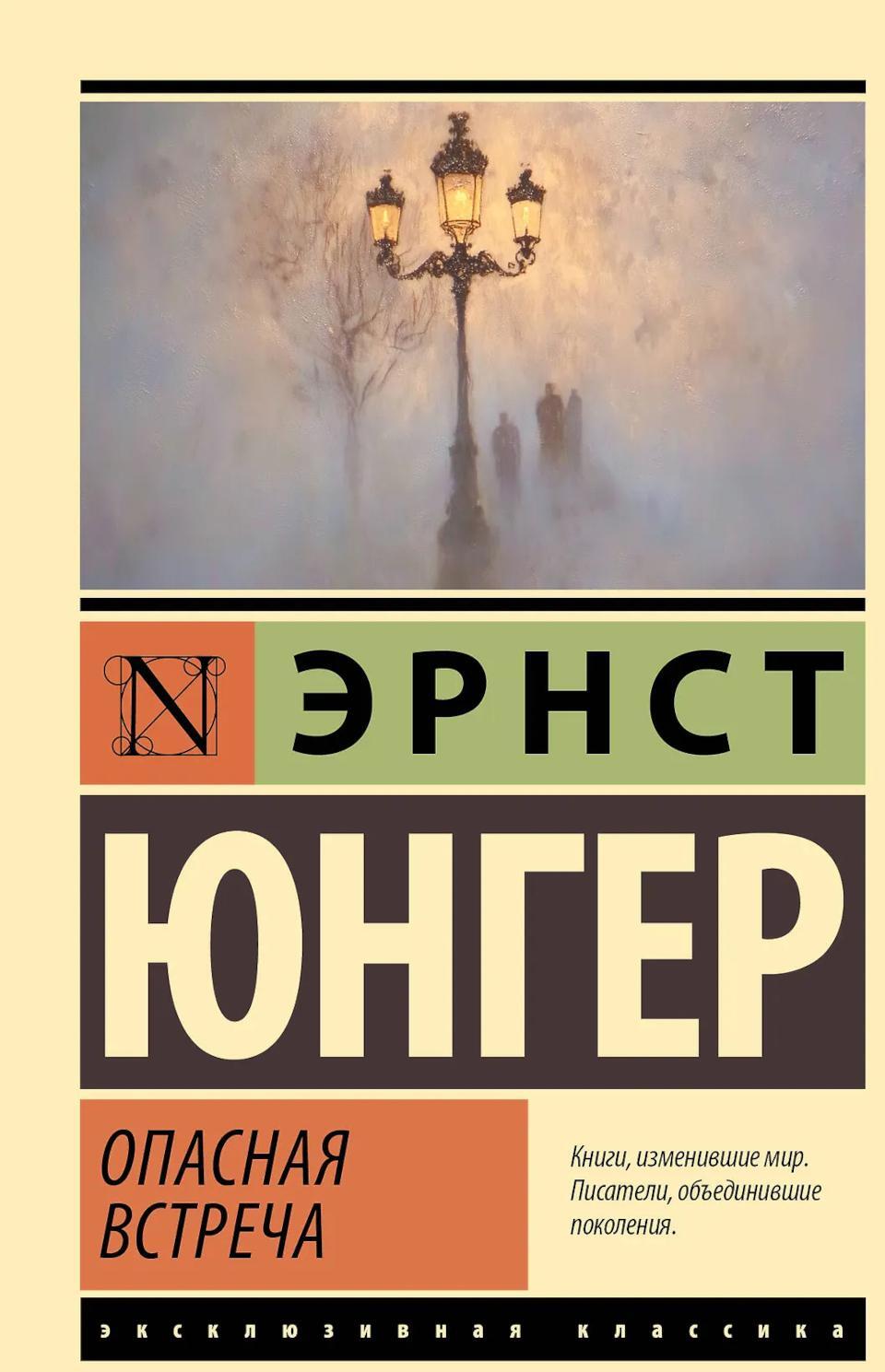 Опасная встреча: роман