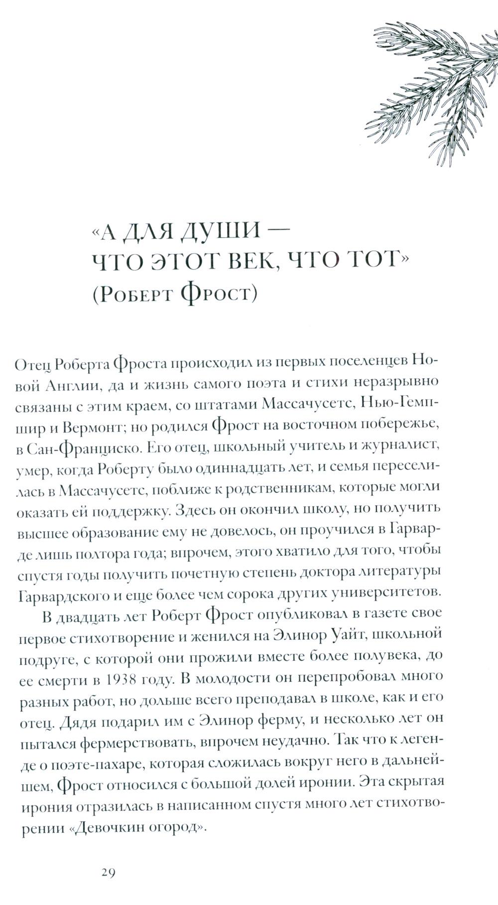 Книга об американской поэзии