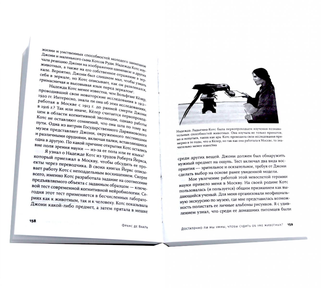 Достаточно ли мы умны, чтобы судить об уме животных?