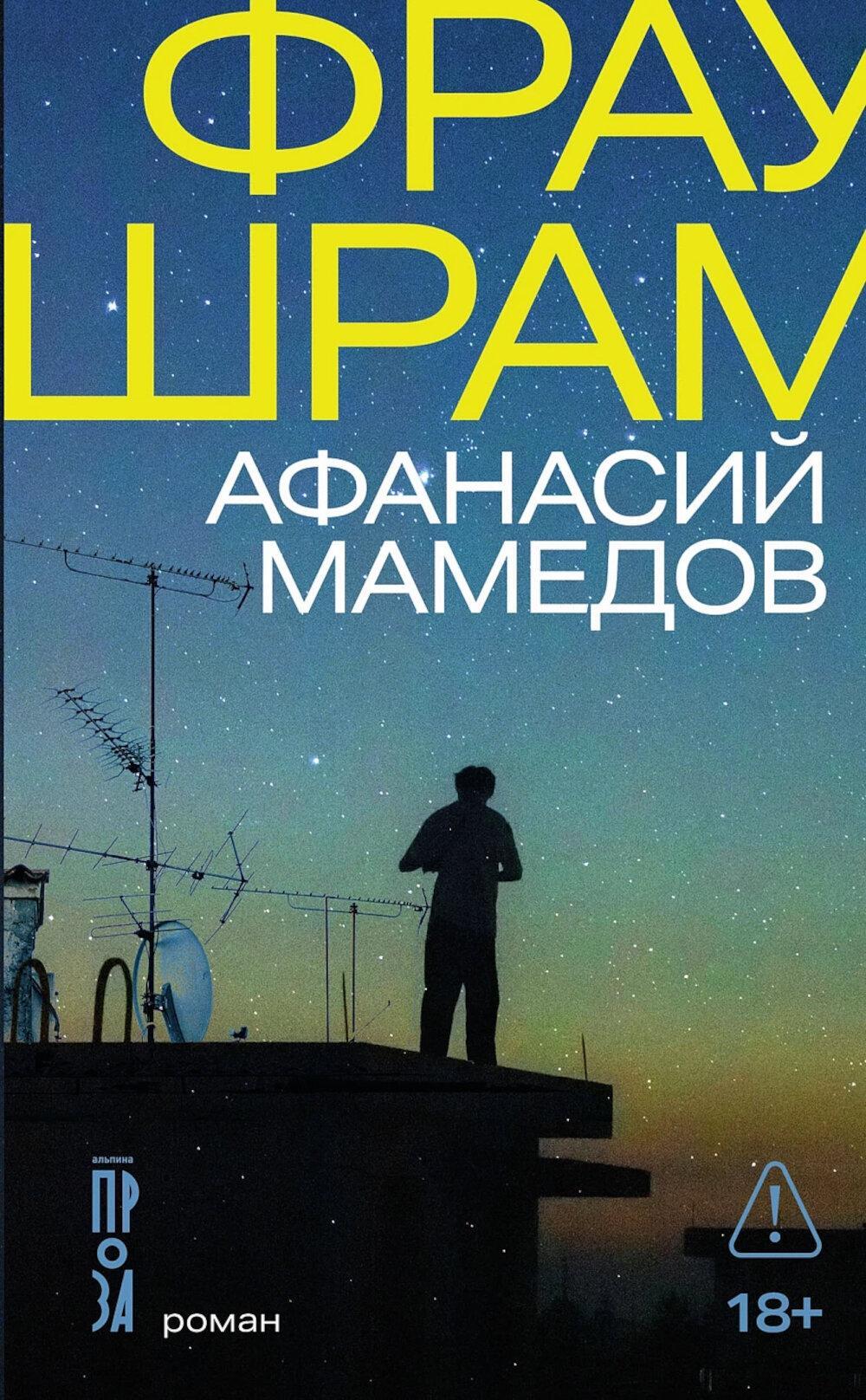 Фрау Шрам: роман
