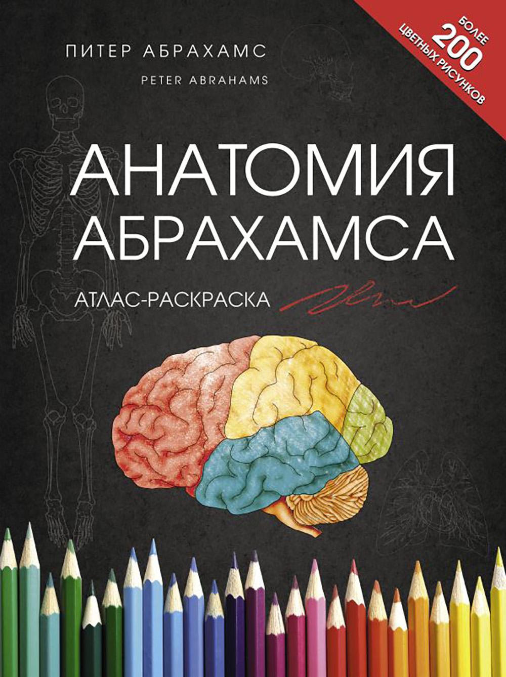 А натомия Абрахамса. Атлас - раскраска