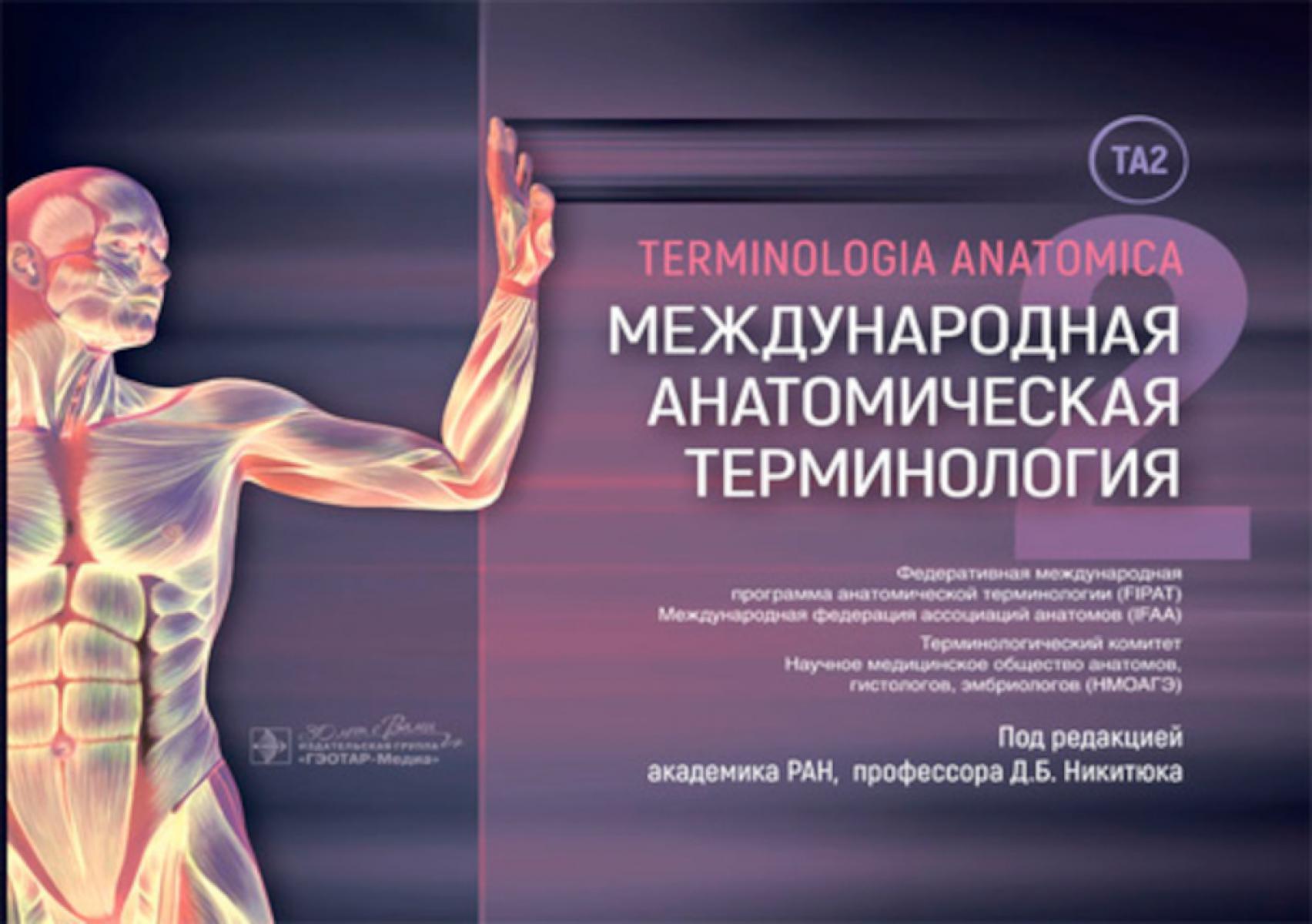 Международная анатомическая терминология (ТА2)