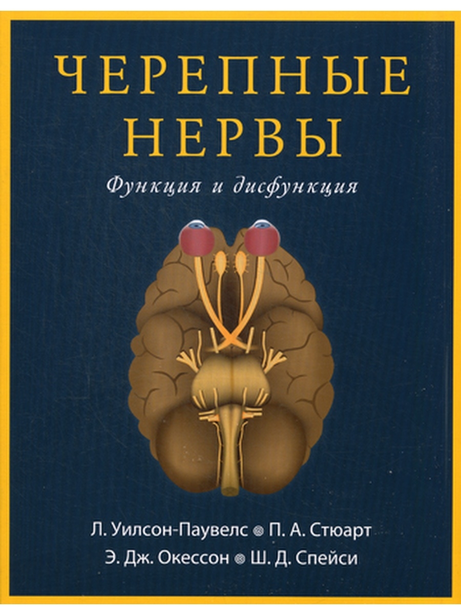 Черепные нервы. Функция и дисфункция