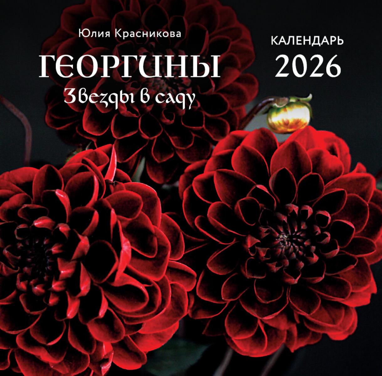 Георгины. Звезды в саду. Календарь настенный на 2026 год