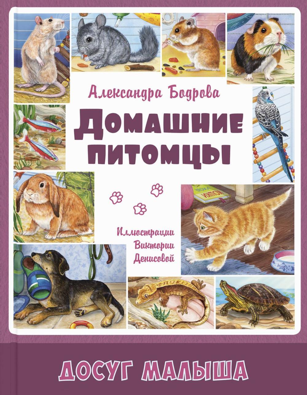 Домашние питомцы