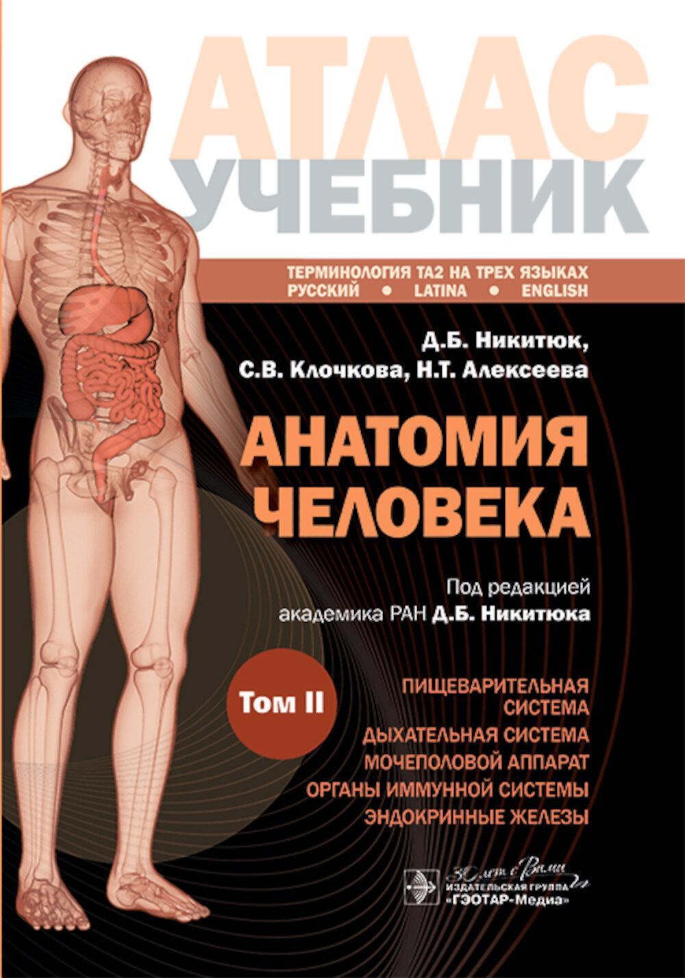 Анатомия человека: атлас: учебное пособие: в 3-х т. Т. 2