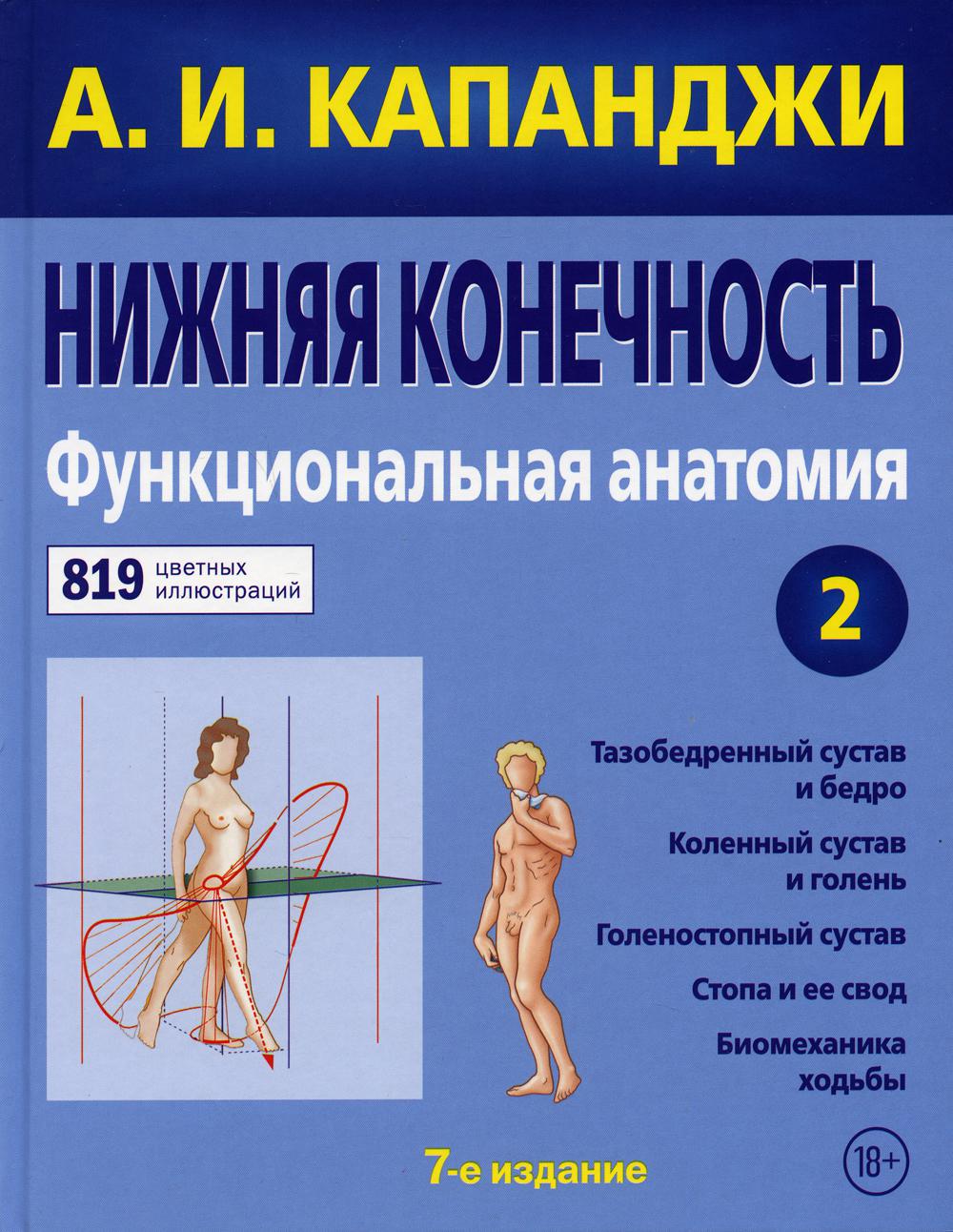 Нижняя конечность. Функциональная анатомия. Т. 2. 7-е изд