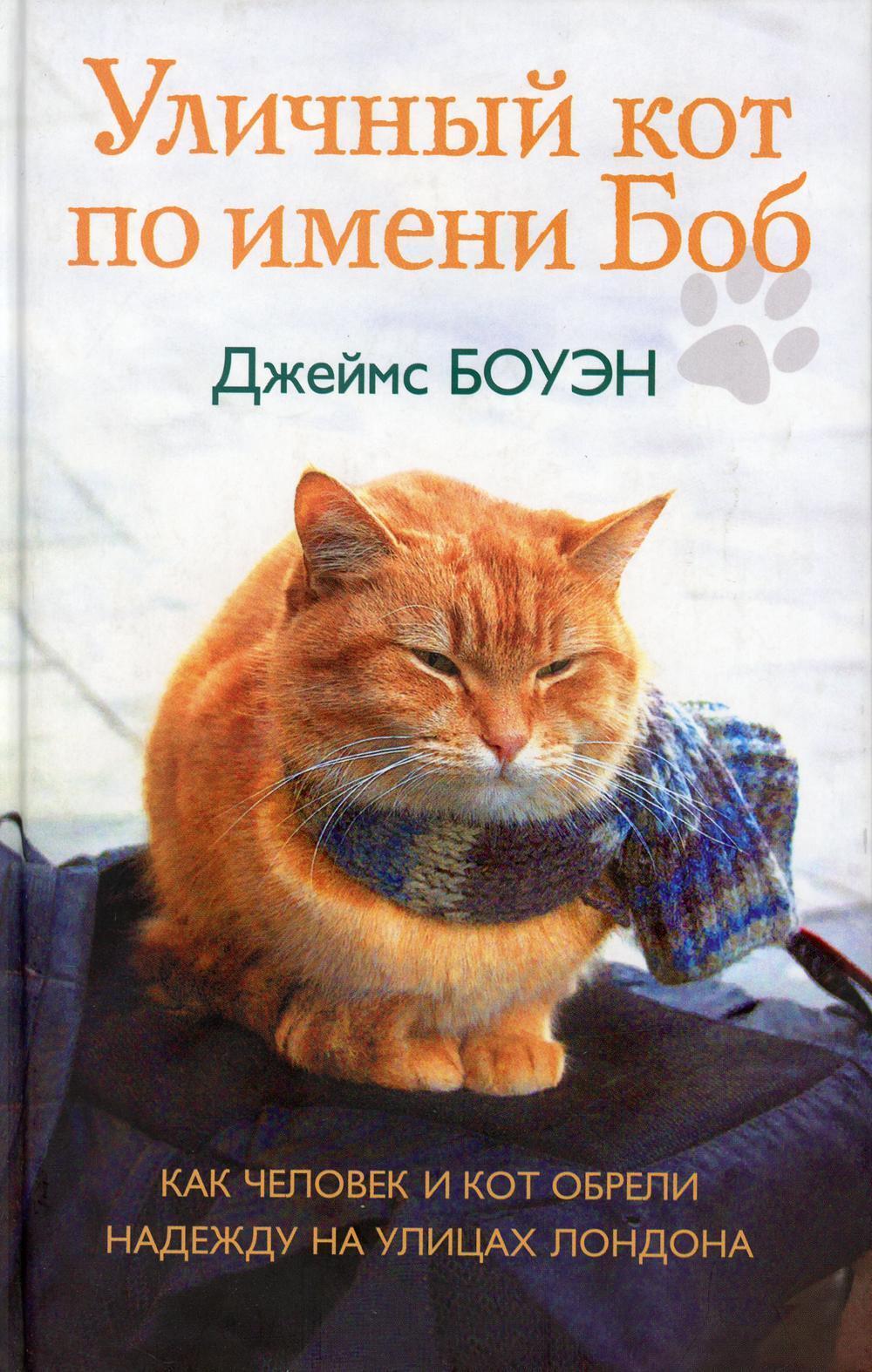 Уличный кот по имени Боб. Как человек и кот обрели надежду на улицах Лондона