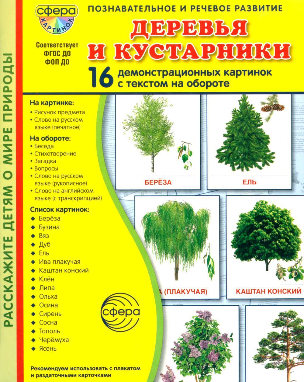 Деревья и кустарники. 16 демонстрационных картинок с текстом на обороте