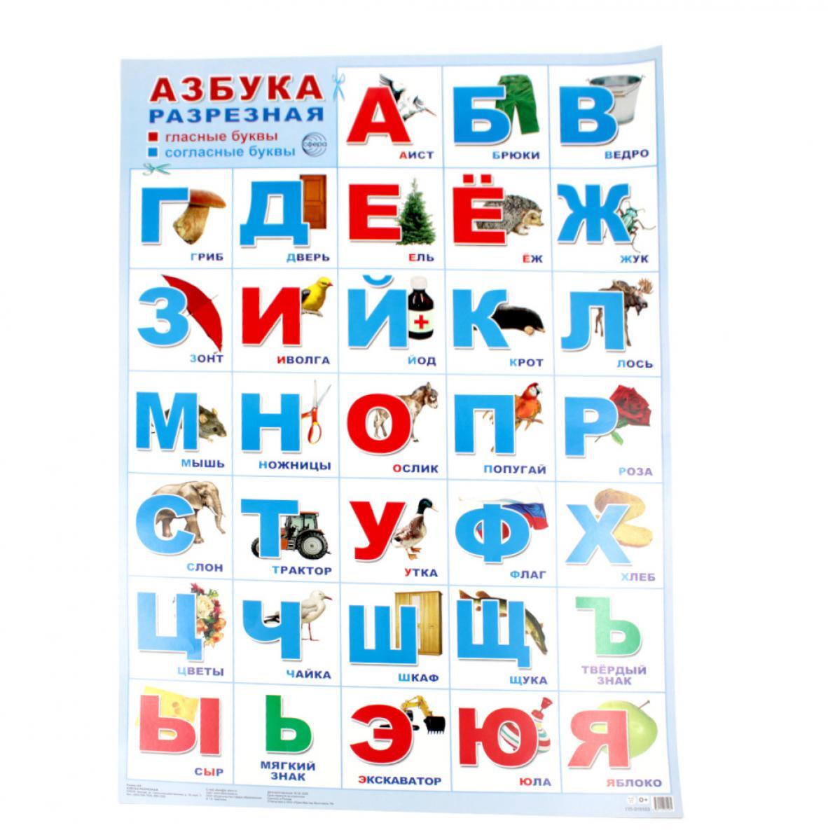 Плакат А2. Азбука разрезная: с картинками, в голубой рамке