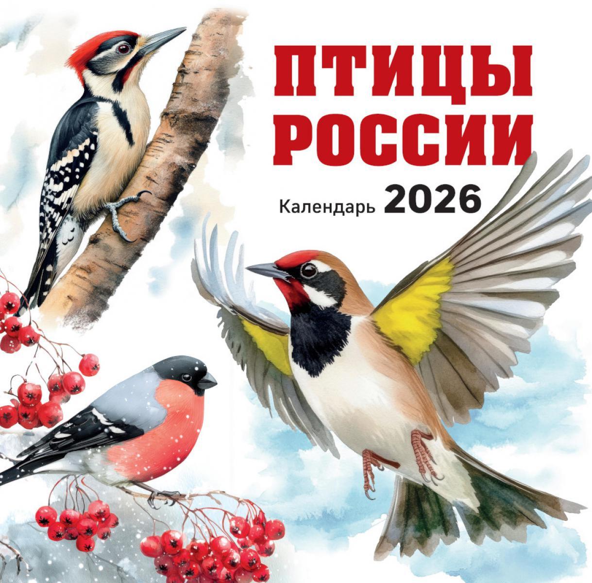 Птицы России. Календарь настенный на 2026 год