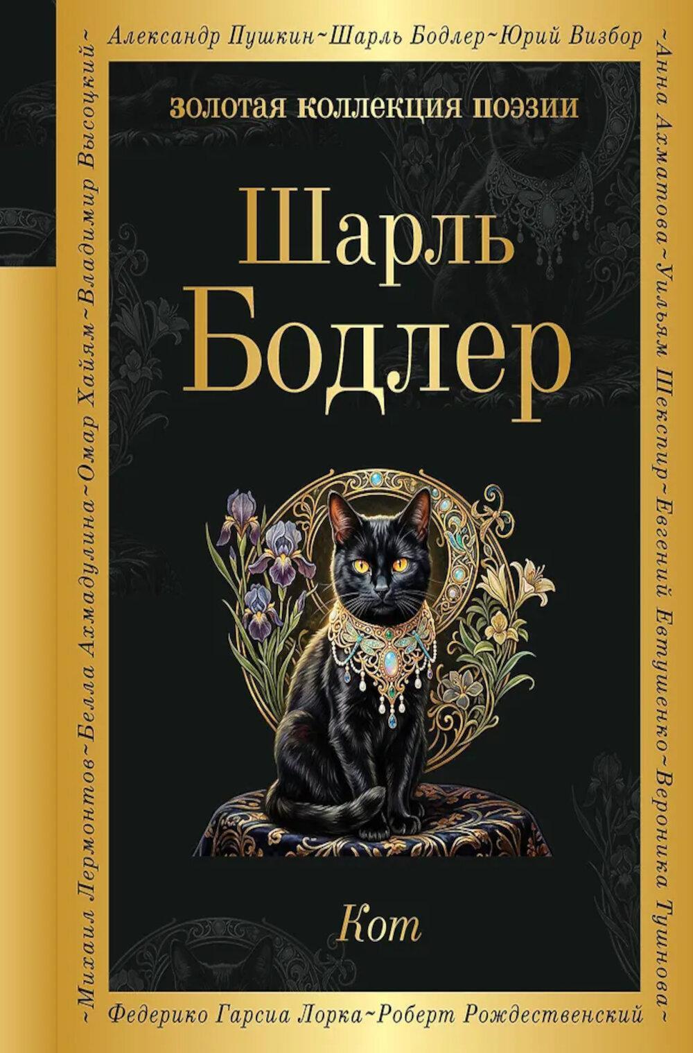 Кот