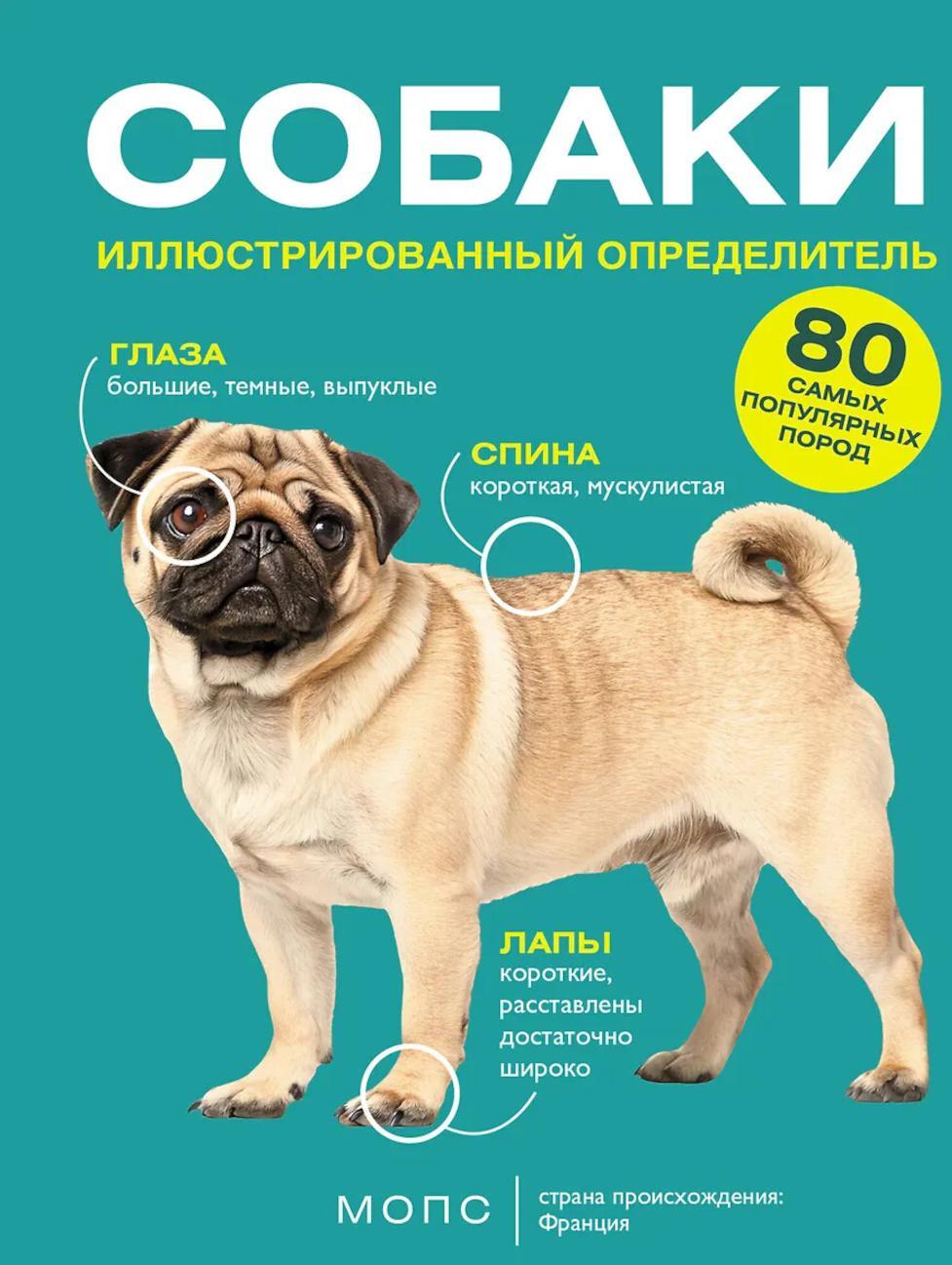 Собаки. 80 самых популярных пород. Иллюстрированный определитель