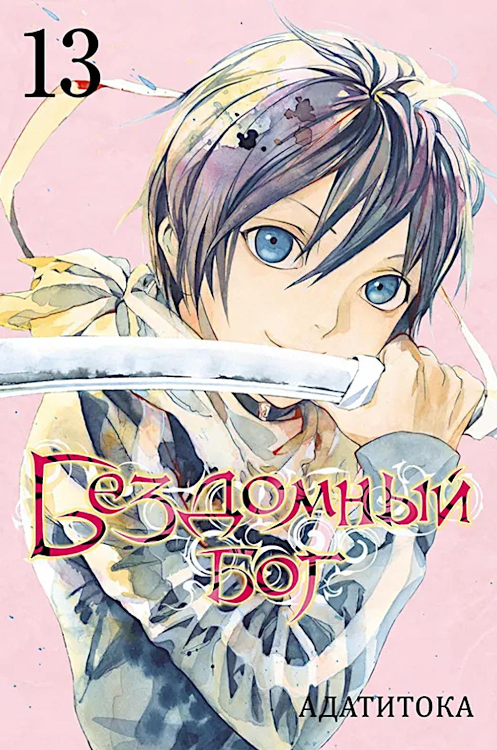 Бездомный бог. Т. 13