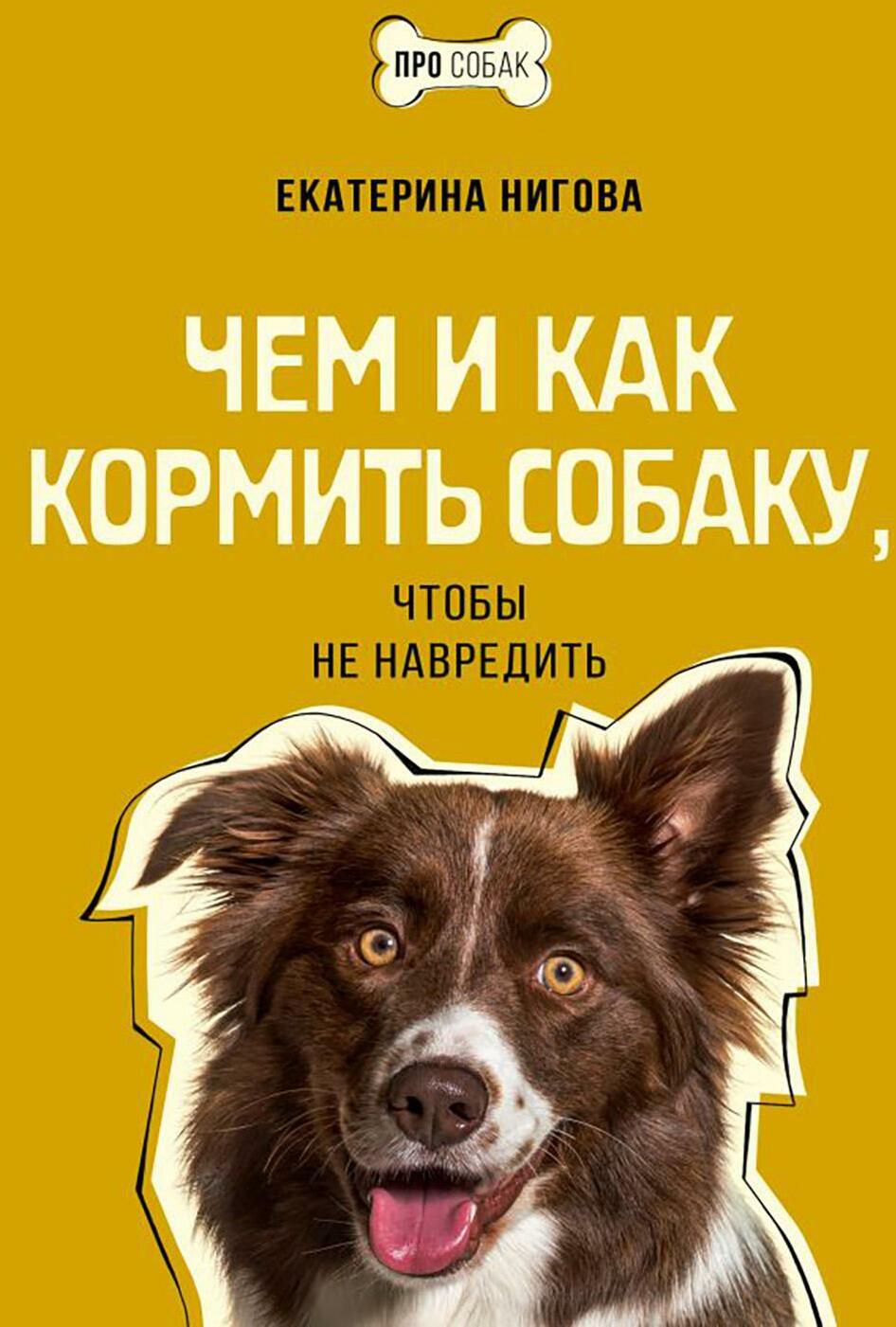 Чем и как кормить собаку, чтобы не навредить