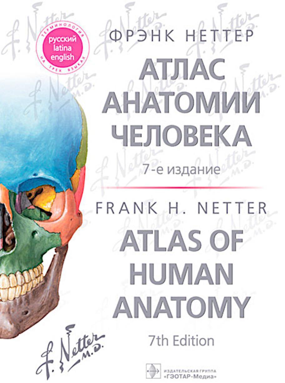 Атлас анатомии человека. 7-е изд