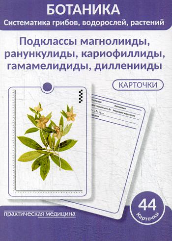 Ботаника. Систематика грибов, водорослей, растений. Подклассы магнолииды, ранункулиды, кариофиллиды, гамамелидиды, дилленииды. (КАРТОЧКИ 44 шт)