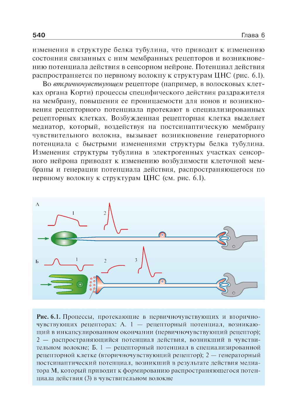Нормальная физиология: Учебник. 2-е изд., стер
