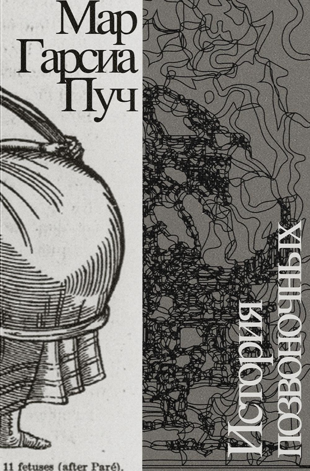 История позвоночных