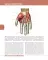 Textbook of Human Anatomy. In 3 v. V. 3: Nervous system. Esthesiology = Анатомия человека. В 3 т. Т. 3: Нервная система. Органы чувств