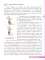 Физика. 8 кл.: Учебник. 5-е изд., стер