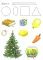 Обследование речи детей 4-5 лет с ОНР. Методические указания и картинный материал для проведения обследования в средней группе ДОУ