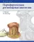 Периферическая регионарная анестезия: атлас. 2-е изд., испр