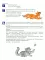 Рабочая тетрадь по развитию речи для детей 4-5 лет