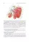 Topographic Anatomy and Operative Surgery: textbook: на англ.яз