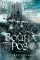 Война роз. Кн. 3: Право крови: роман