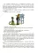 Механический Дед Мороз