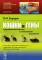 Кошки и гены: Современная генетика в популярном изложении