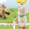 Bounce! Bounce! Bunnny