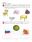 От А до Я. Рабочая тетрадь для детей 5-6 лет. 5-е изд., стер
