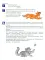 Рабочая тетрадь по развитию речи для детей 4-5 лет. 2-е изд., испр. Соответствует ФГОС ДО